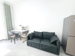 武汉洪山白沙洲白沙洲万象新城旁~5号线直达|通勤时间短~年底价格乱砍可短租出租房源真实图片