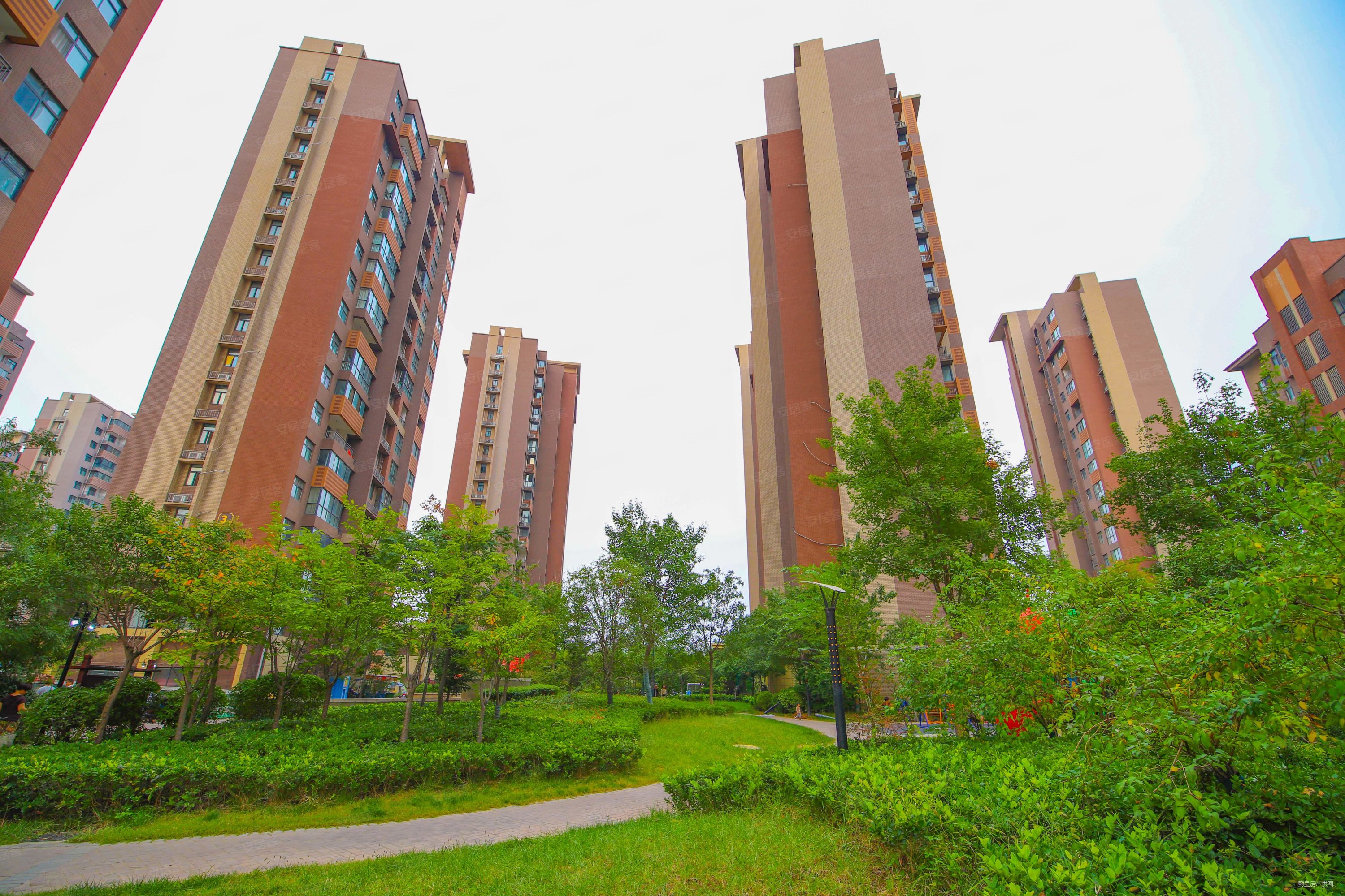 伊滨区双语附近天明城隆安东方明珠伊水苑洛阳府翡翠庄洛阳府