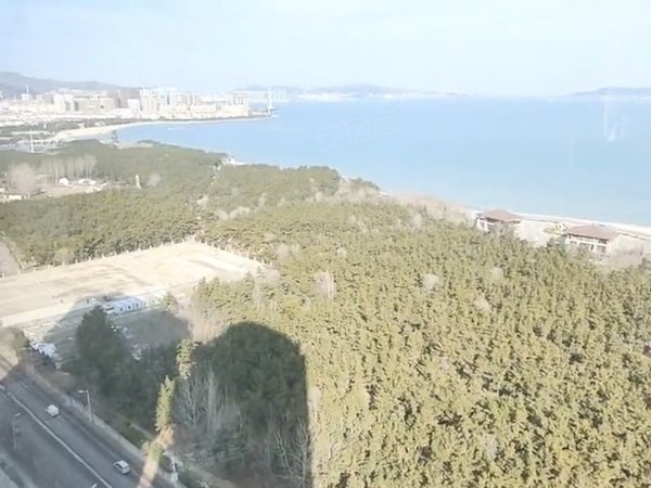 出租华发九龙湾中心三期三室两厅两卫房主精心装修诚心寻找有缘人