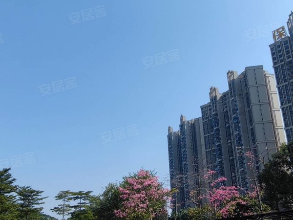 【多图】南沙保利城,黄阁租房,保利城南怡湾,三房两卫部分配齐拎包