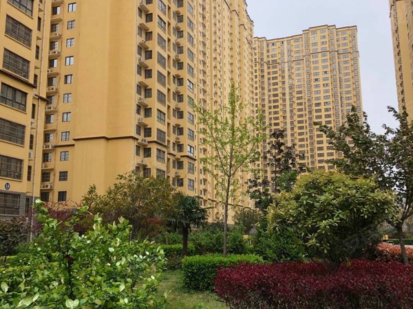 【多图】紫境城,三桥租房,房源采光好,南北通透,业主诚意出,未央租房