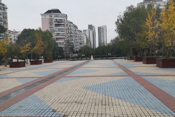 常青藤小城