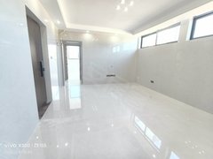 深圳龙岗横岗安良地铁商住两用别墅162平电梯直达四房全新出租免费私家车位出租房源真实图片