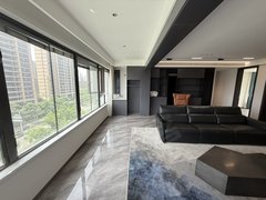 合肥滨湖新区新省府一眼爱上 雍华府洋房 私梯入户 全景视野落地窗 采光爆炸 !出租房源真实图片