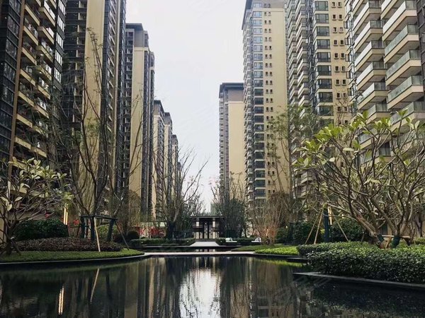 良庆周边租房,融创九棠府 5室2厅2卫,良庆租房-南宁58安居客