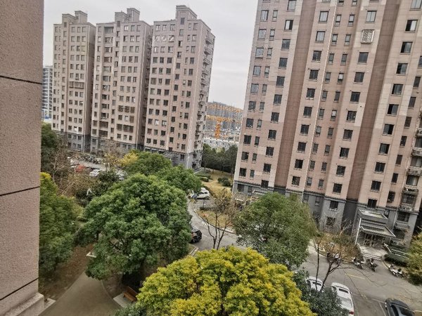 上海浦东唐镇齐友佳苑整租三室一厅 齐友佳苑 电梯高层 2号线唐镇地铁