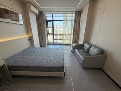 深圳龙岗南联龙岗中心城独栋电梯精装大单间 全屋定制落地窗干湿分离民水民电出租房源真实图片