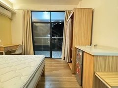 深圳龙岗坂田坂田铁站 11号线 押一付一 拎包入住无中介 奢华装修出租房源真实图片