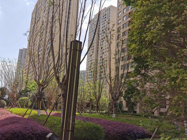 昆明官渡世纪城红星天铂北区中闸中心学校旁 红星天铂精装3房 拎包