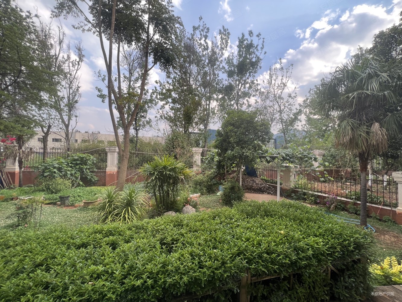 海埂大坝边花园500平独栋别墅 地上两层单层250平