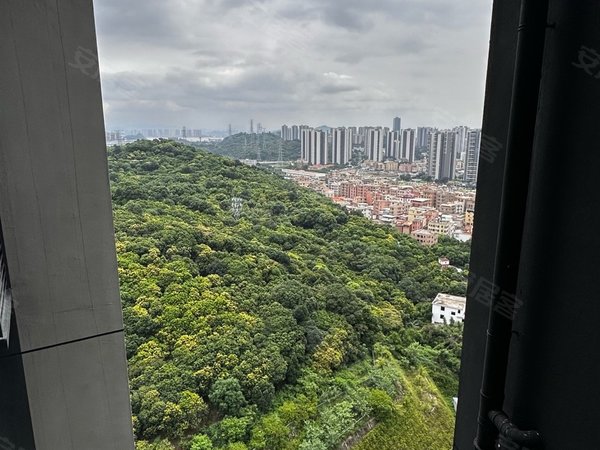 广州南沙进港大道方圆星宇月岛(方圆星宇月岛)南向三房两卫 家私家电