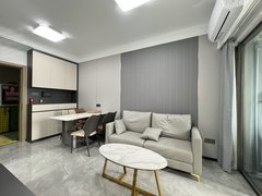 深圳宝安流塘流塘地铁站 标准一房一厅 精装修 家电全齐 拎包入住出租房源真实图片