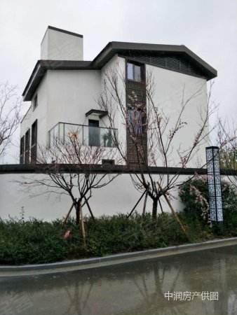 火了火了中梁独墅御湖一线临湖大独栋 带大花园 送两个大车位