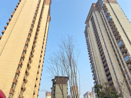 金隅大成郡(西区),东二环路,近南淝河路 - 合肥金隅大成郡(西区)二手