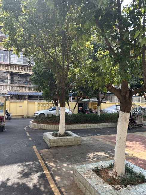 环城东路上 东华小区春登里 精装两房 带20平米大围院