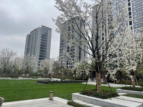 绍兴柯桥柯桥宝业大坂绿园坂湖旁边 精装修 拎包入住 全新家电家具