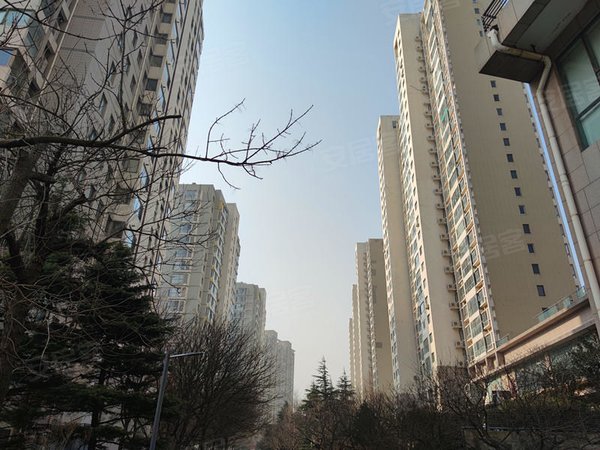 青岛崂山颐中体育场鲁信长春花园房源采光好,南北通透,业主诚意出出租