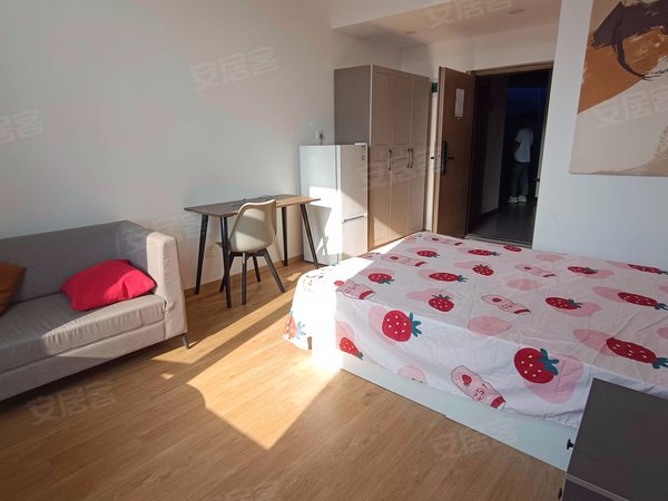 大连高新园区中国华录黄浦路海米公寓整租一室公寓可短租可押一付一近