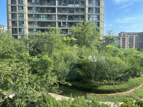 济南历下全运村海尔绿城锦兰园南区甄选好房推荐!