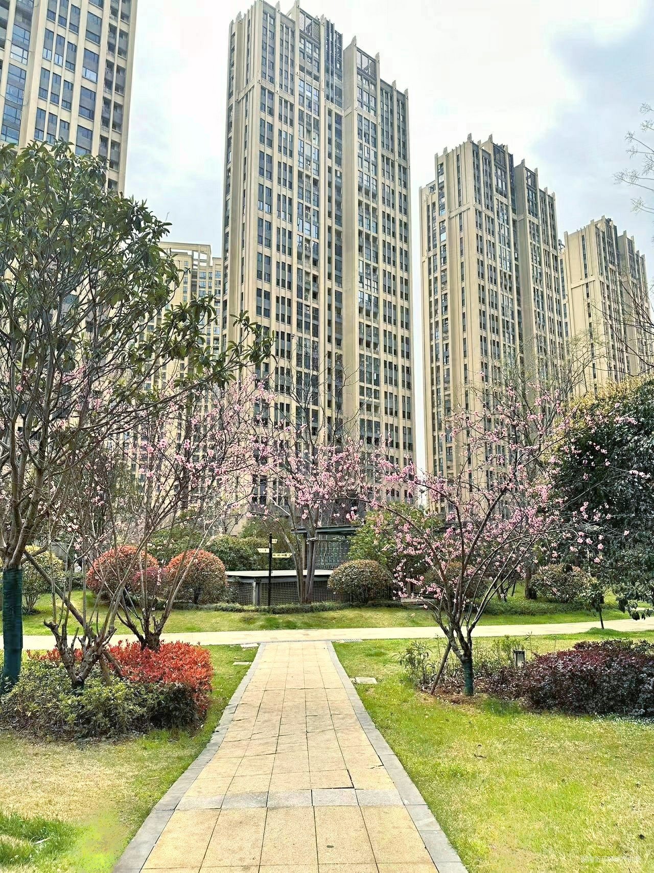 长房半岛蓝湾3室2厅2卫113.53㎡南北101万