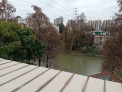 中山港口港口市场星晨花园改的2房 伍50出租 包物业费 港口镇 家电齐全出租房源真实图片