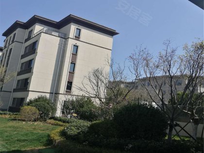 西府御棠,柳树北街 - 大连西府御棠二手房,租房,房价-大连安居客