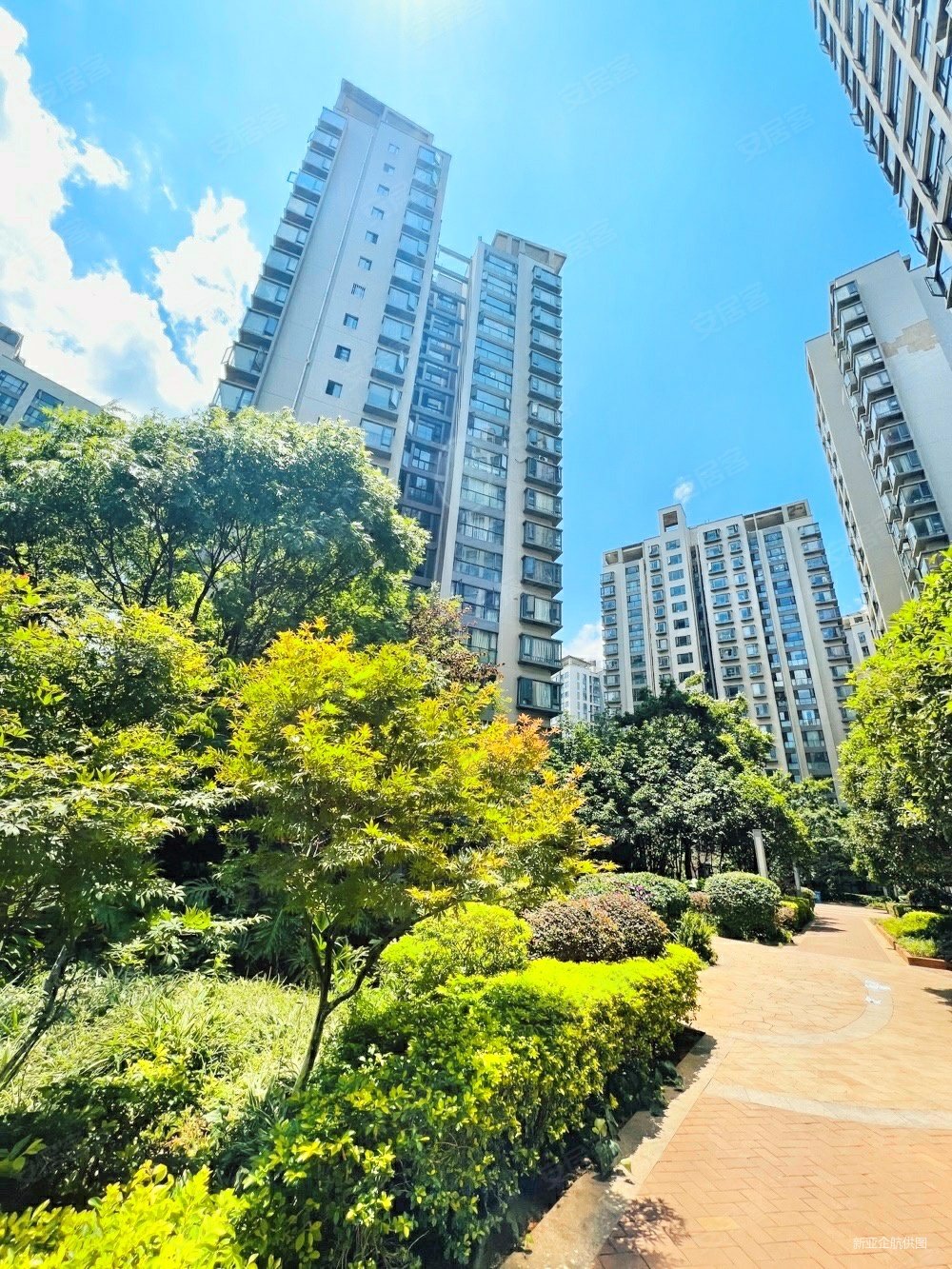 西府景苑朝向好高绿化医疗配套成熟购物方便电梯房