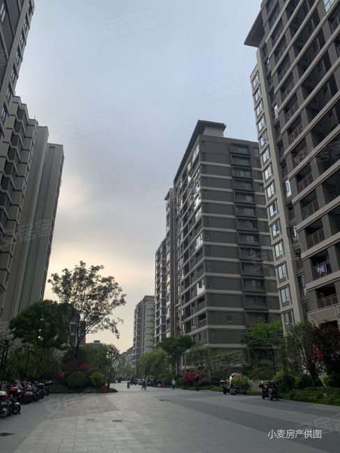 滨江正荣府新出精装好房 两室两厅拎包入住
