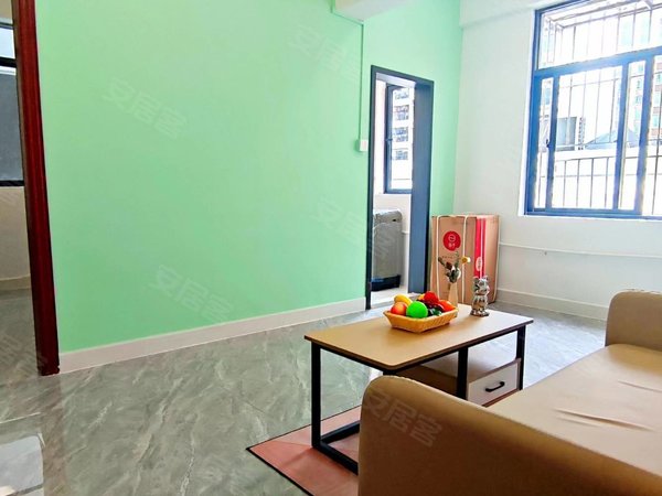 深圳宝安桃源居鹤洲村鹤洲村 1室1厅1卫 精装修 电梯房 南北通透 拎包