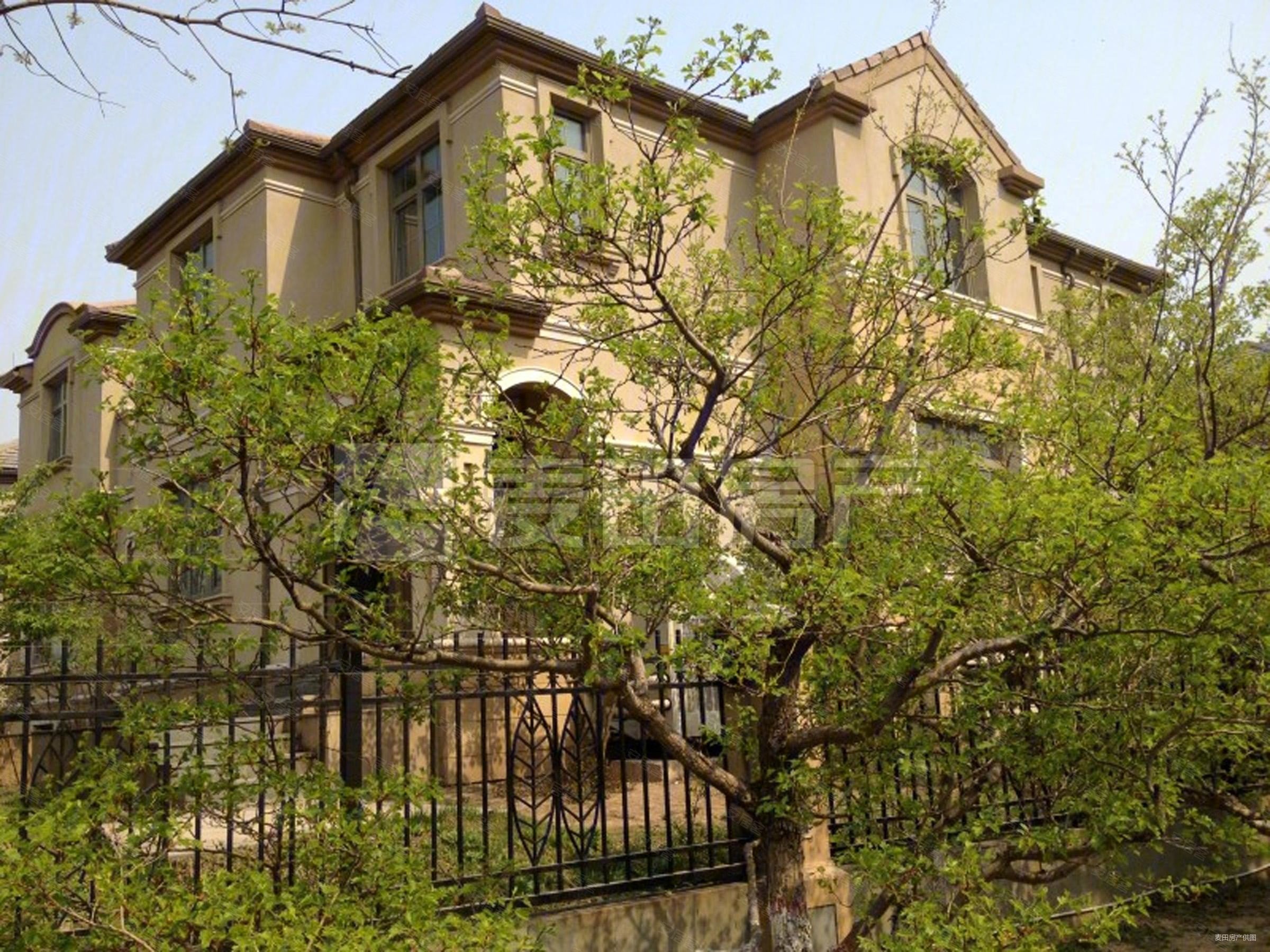 林语别墅4室3厅4卫396.82㎡南北2450万