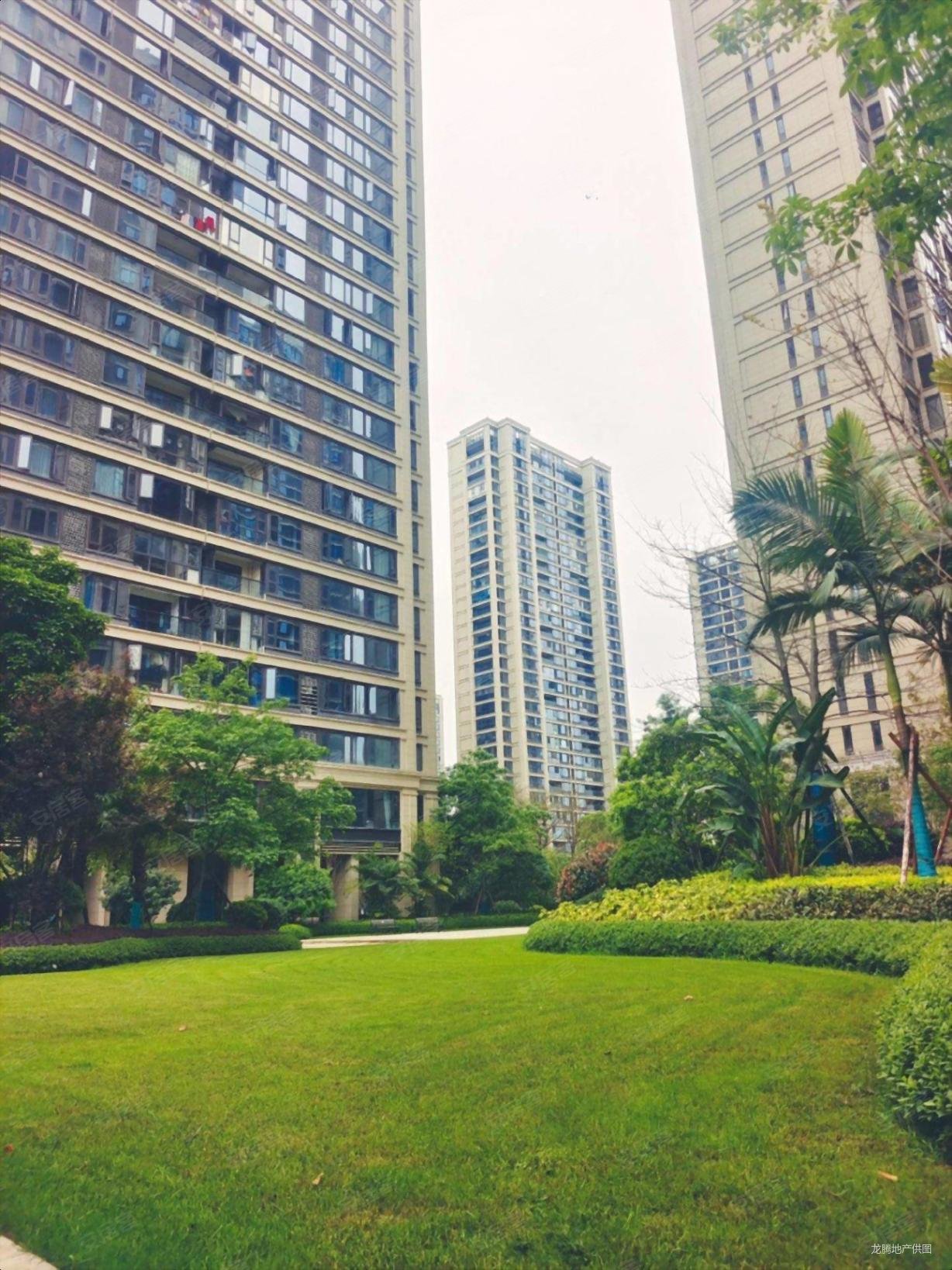 柳北白沙一线江景大平层绿城杨柳郡棕榈苑滨小户型方正