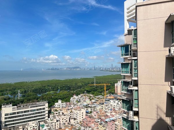 深圳福田沙嘴绿景蓝湾半岛婚房出租 带固定车位 看房方便 三房出租