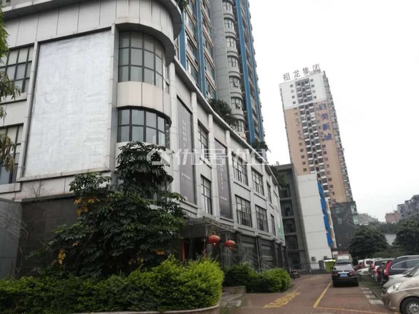 【多图】荣和半山华府,大沙田租房,荣和半山华府精装4房 家具家电齐全