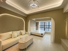 嘉兴南湖城南街道龙鼎万达 月星家居 一室一厅 品牌家具 多套可看 可短租月付出租房源真实图片