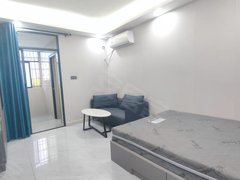 深圳龙岗横岗吉榕大厦 拎包入住 南北通透 1室1厅1卫出租房源真实图片