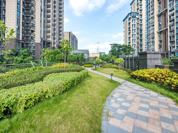 深圳龙华观澜陶润懿峰陶润懿峰,3房空房出租,美中学校,四号线竹村地铁