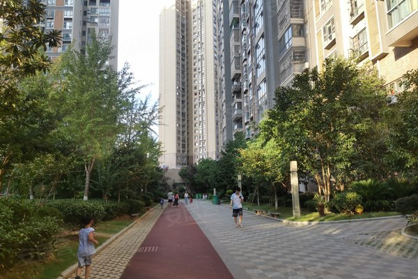 中环中央城(a区)