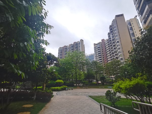 广州花都新区尚品雅居房源采光好,南北通透,业主诚意出出租房源真实