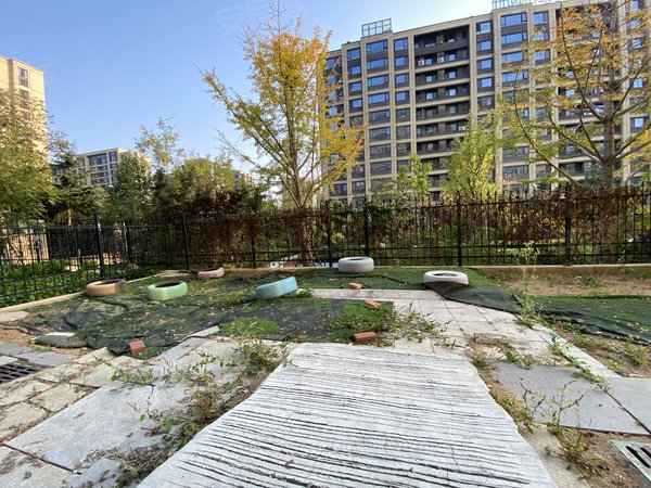 青岛李沧绿城绿城蘭园一楼带院子 金水路 丽达对面绿城蘭园 套二 有