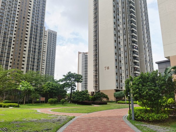 【多图】东江逸珑湾,新塘租房,东江逸珑湾 3室2厅2卫 电梯房 116平米