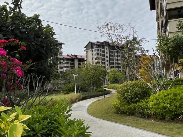 三亚海棠海棠湾镇和泓海棠府海棠湾温泉花园洋房领包入住出租房源真实