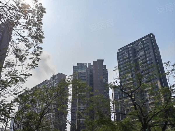 【多图】睿智华庭,大运租房,睿智华庭精装四房,南北通透,随时可以看房