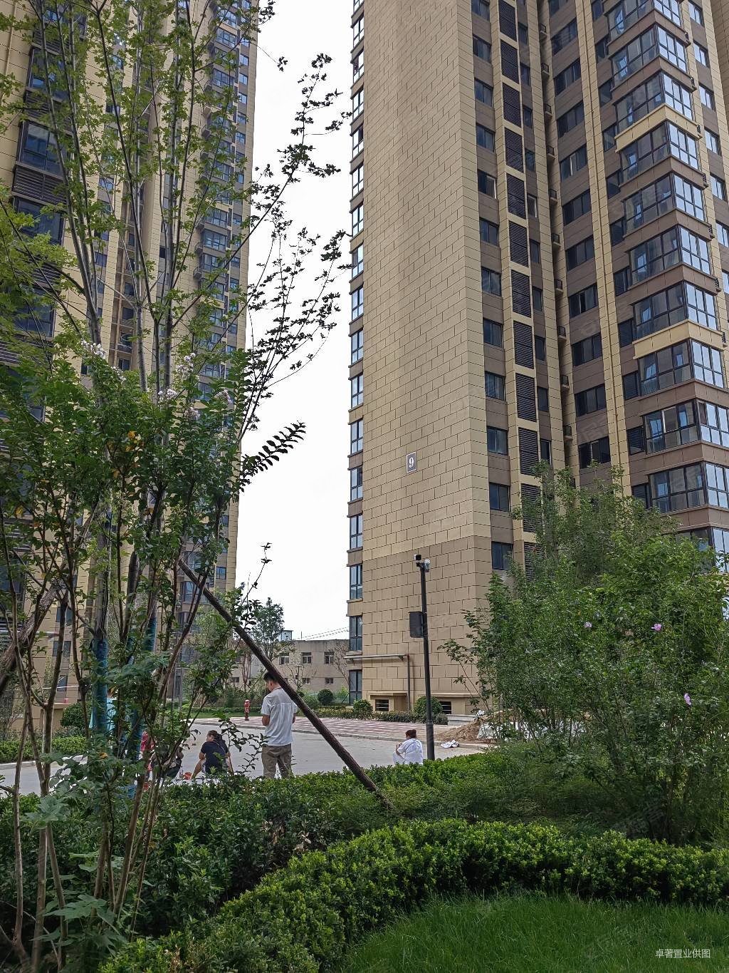 海棠湾3室2厅1卫110.9㎡南北62万