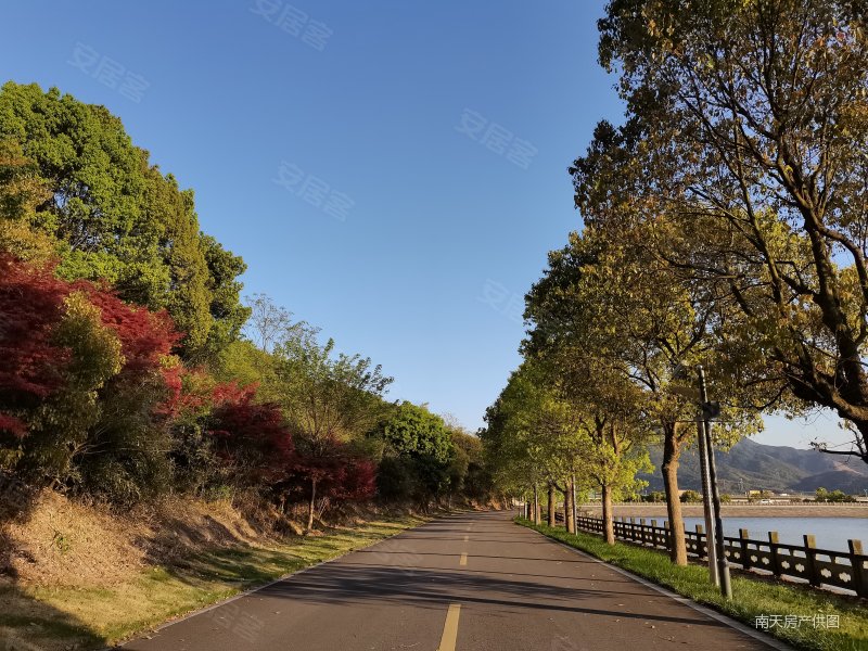 朝南滕园228平5室2厅满二采光好周边商圈成熟