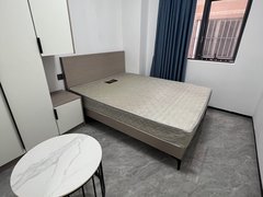 深圳福田岗厦岗厦地铁站 采光好 南北通透 拎包入住出租房源真实图片