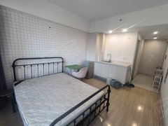 蚌埠蚌山新城区绿地中央广场公寓 拎包入住 廉价一房急租近市政府 绿地珠峰旁出租房源真实图片