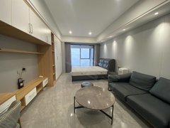 东怡A江景公寓 房东自住装修 柜子超多 正橘子洲头 保利国际
