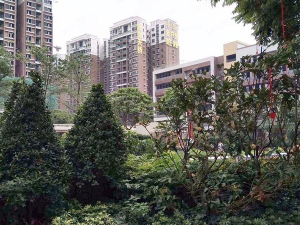 广州天河东圃兰亭盛荟东圃实拍.