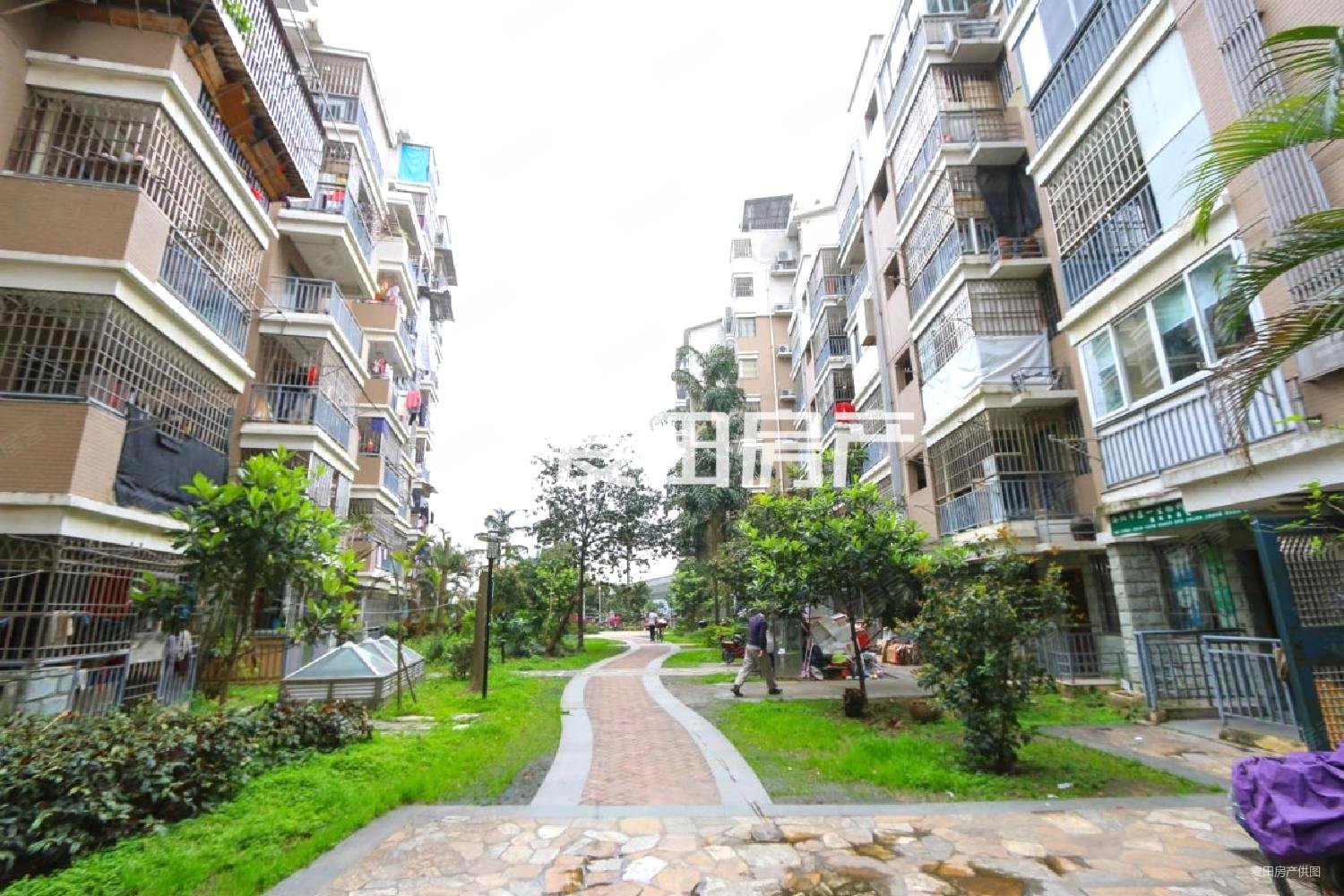 兰庭新天地 师大附小陪 楼层好 南北通透