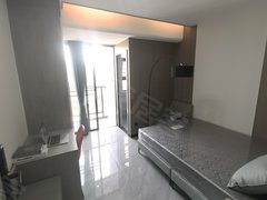 深圳宝安松岗温屋村 1室1厅1卫 精装修 电梯房 南北通透出租房源真实图片